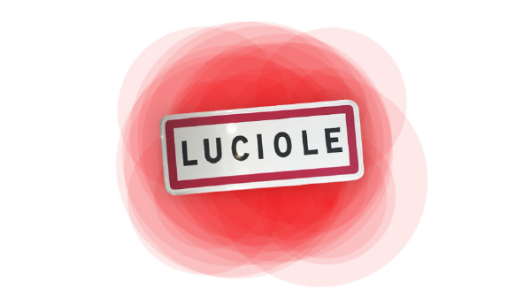 Luciole - Organisation - Blog Luciole